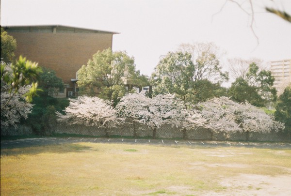 ある、光。