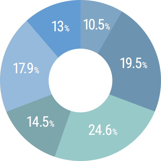 13% 10.5% 19.5% 24.6% 14.5% 17.9%