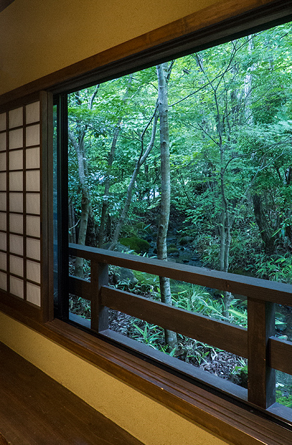 客室「えごの木」からの眺め