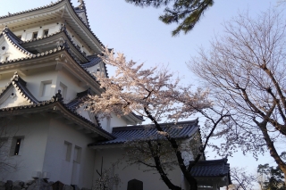GW中の休業のお知らせ